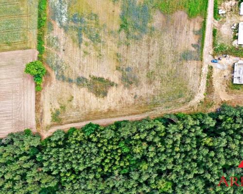 Działka na sprzedaż/Nowy Witoszyn