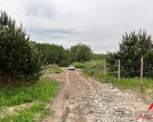 Działka Osiek /Szpetal Górny  pow: 2888 m2