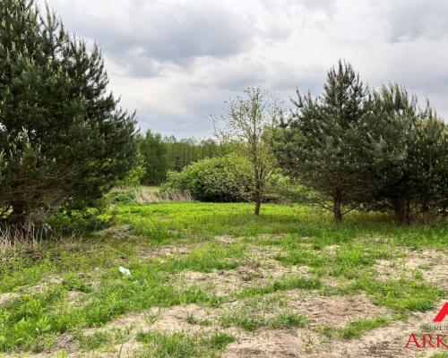 Działka Osiek /Szpetal Górny  pow: 2888 m2