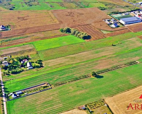 DZIAŁKA RADOMICE - SPRZEDAŻ LUB ZAMIANA