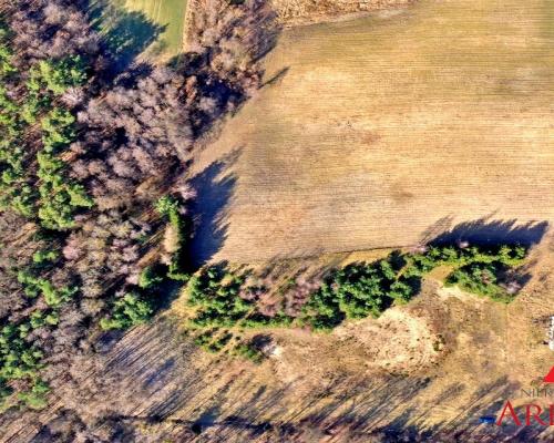 Działki z warunkami Gmina Wielgie