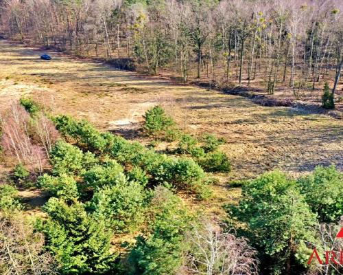 Działki z warunkami Gmina Wielgie