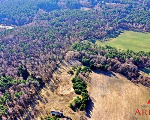 Działki z warunkami Gmina Wielgie