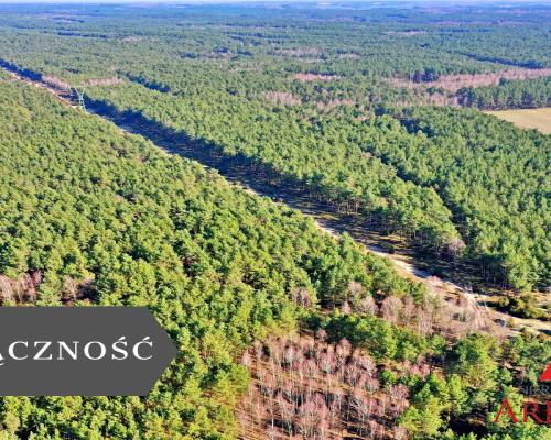 Działka las iglasty 40-50 letni, Bobrownickie Pole