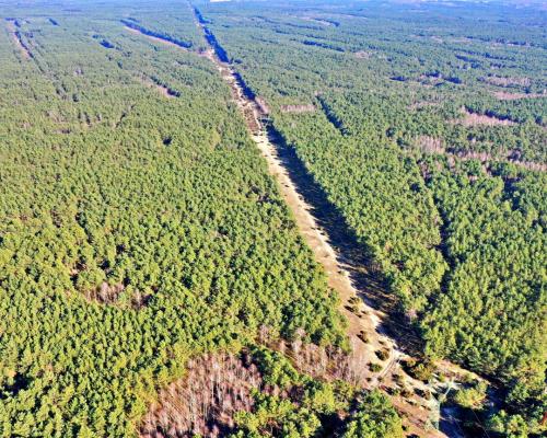 Działka las iglasty 40-50 letni, Bobrownickie Pole