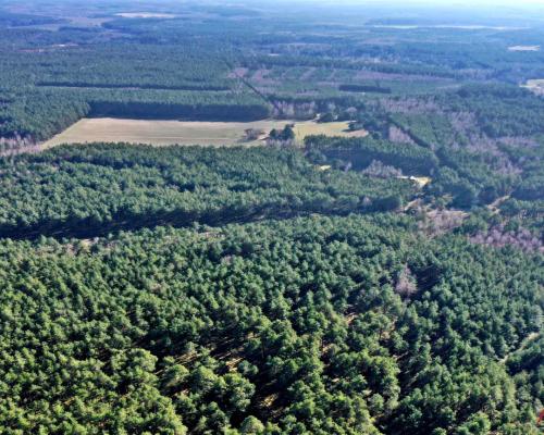 Działka las iglasty 40-50 letni, Bobrownickie Pole