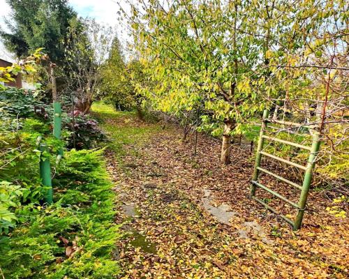 Działka ROD-Zawiśle Włocławek