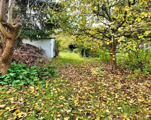 Działka ROD-Zawiśle Włocławek