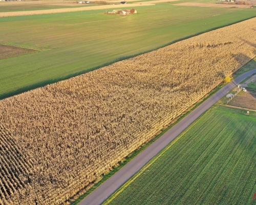 Arkadia Nieruchomości prezentuje wyjątkową działkę w Lubaniu - idealną inwestycję pod zabudowę mieszkaniową!   LINK DO PREZE