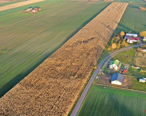 Arkadia Nieruchomości prezentuje wyjątkową działkę w Lubaniu - idealną inwestycję pod zabudowę mieszkaniową!   LINK DO PREZE
