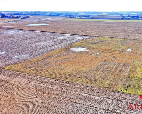 Działka z WZ, Skórzno , 1400 m2