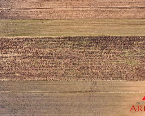 Działki Swiątkowice , Gmina Baruchowo 1000 m2