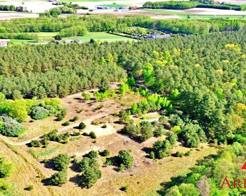 Działka Maliszewo/Lipno