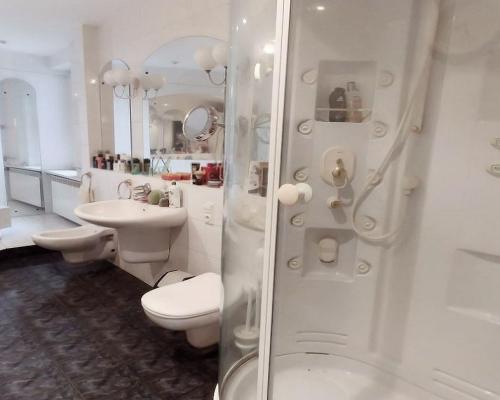 Julianów - 2 domy (350 m2 i 300 m2)