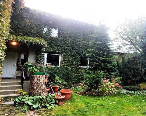 Julianów - 2 domy (350 m2 i 300 m2)