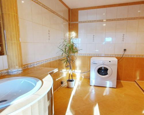 Polesie - dom z warsztatem samochodowym