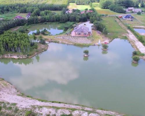 Ranczo 5 ha ze stawem blisko term w Uniejowie