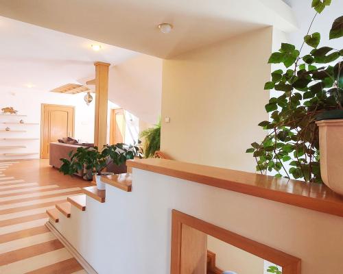 Ksawerów - dom do wynajęcia, garaż na 2 auta