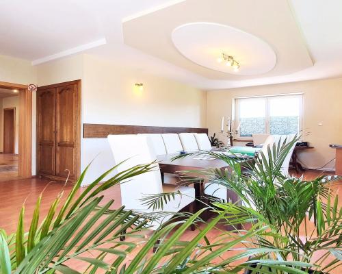 Ksawerów - dom do wynajęcia, garaż na 2 auta