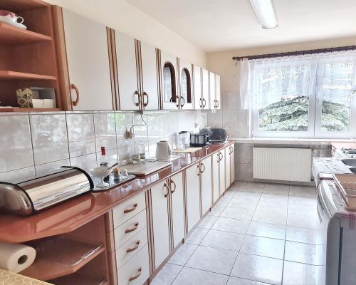 Górna - dom z warsztatem samochodowym