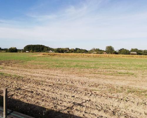 Karsznice - grunt inwestycyjny o pow. 4,15 ha