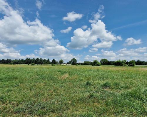 Widzew - działka budowlana z PnB o pow. 1900 m2