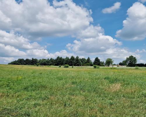 Widzew - działka budowlana z PnB o pow. 734 m2