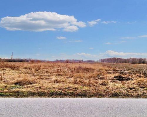 Smolice gm. Stryków - działka inwestycyjna 2,92 ha