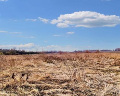 Smolice gm. Stryków - działka inwestycyjna 2,92 ha