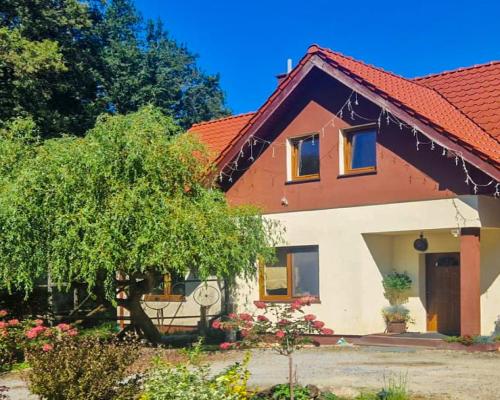 Dom wolnostojący, działka 0,5 Ha