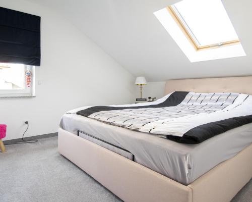 Bliźniak do wprowadzenia