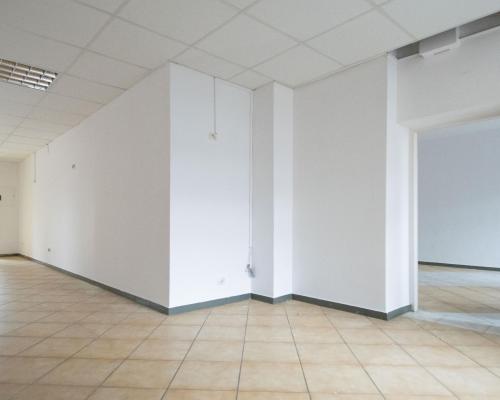 Lokal w samym centrum