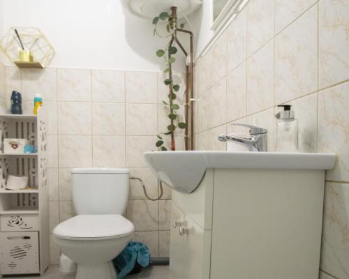 Lokal usługowy 22m2