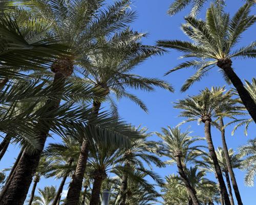 NOWA INWESTYCJA W SAMYM CENTRUM W SANTA POLA