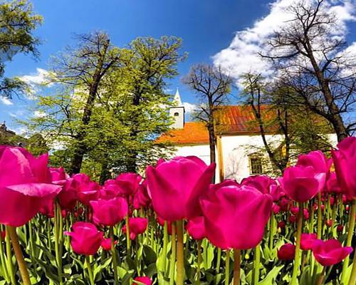 Zamek Świdnicki - zespół poklasztorny na sprzedaż