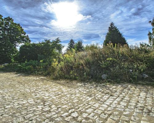 Działka pod inwestycję w Strzegomiu