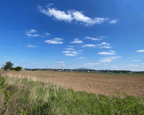 Teren przemysłowo - usługowy 2,6 Ha