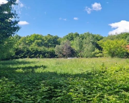 Działka 0,98 Ha możliwość zabudowy