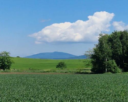 Działka 0,98 Ha możliwość zabudowy