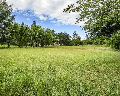 DZIAŁKA BUDOWLANA W GRODZISZCZU/ WIDOK NA GÓRY