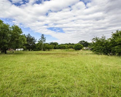 DZIAŁKA BUDOWLANA W GRODZISZCZU/ WIDOK NA GÓRY