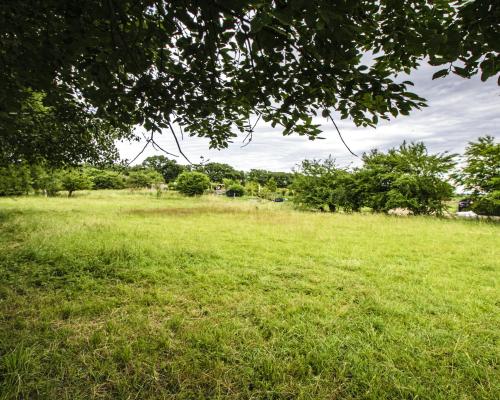 DZIAŁKA BUDOWLANA W GRODZISZCZU/ WIDOK NA GÓRY