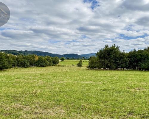 Działka 4090 m² z warunkami zabudowy – Boreczna