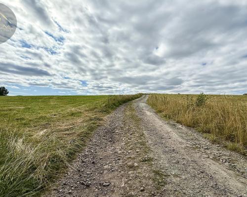 Działka 4090 m² z warunkami zabudowy – Boreczna