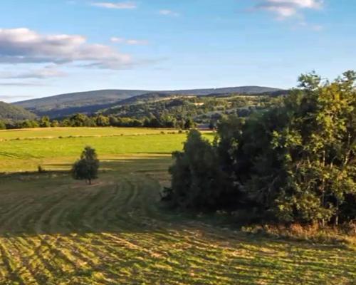 Działka 4090 m² z warunkami zabudowy – Boreczna