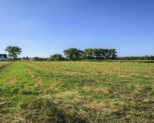 Działka rolno-budowlana / 4631m2 / Mościsko