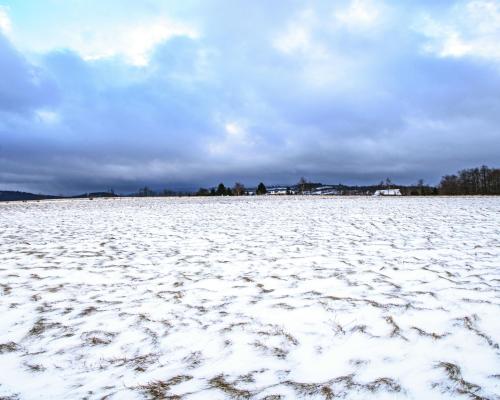 Malowniczo położone działki rekreacyjne/Michałkowa