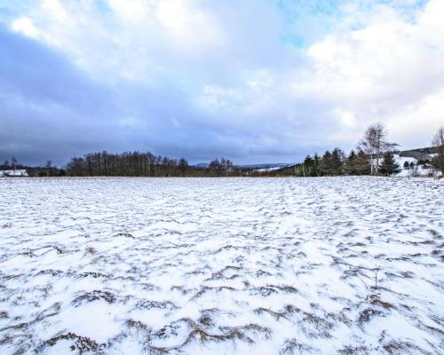 Malowniczo położone działki rekreacyjne/Michałkowa