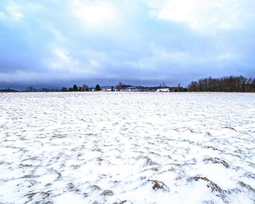 Malowniczo położone działki rekreacyjne/Michałkowa