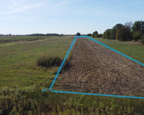 Działka budowlana 0.55 ha Sielce gm. Końskowola